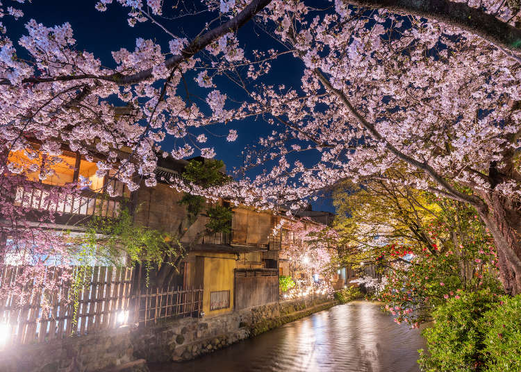 Gion or Higashiyama during fall season.