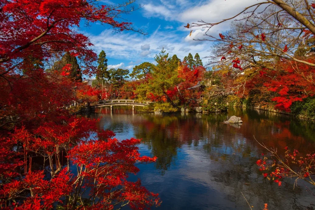 A Serene Oasis in Kyoto