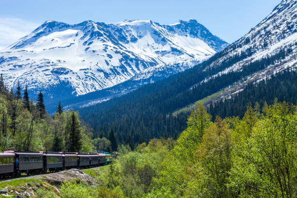 The White Pass Mountain Tourist Train offered breathtaking views of rocky terrain, towering pines, and snow-capped peaks.