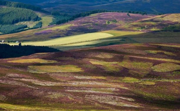 Braemar, Scotland: A Literary Escape