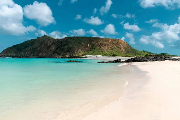 The Galapagos Islands, Ecuador: A Wildlife Lover's Paradise