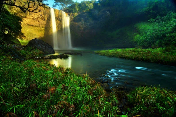 Cruising to Hawaii: The Perfect Time to Go