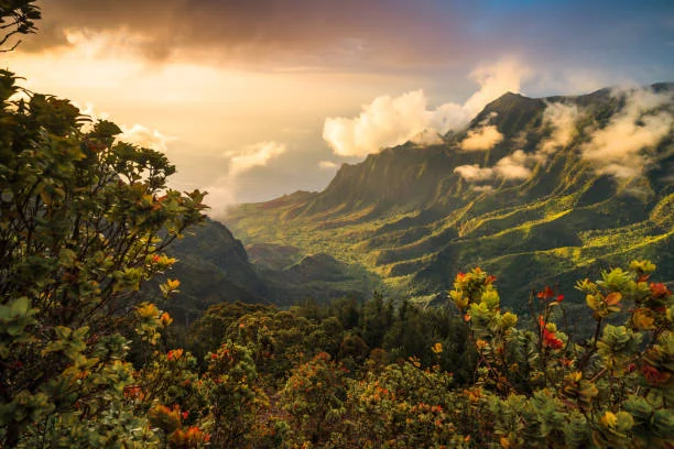 Spring in Hawaii: Blooming Beauty and Budget-Friendly Fun