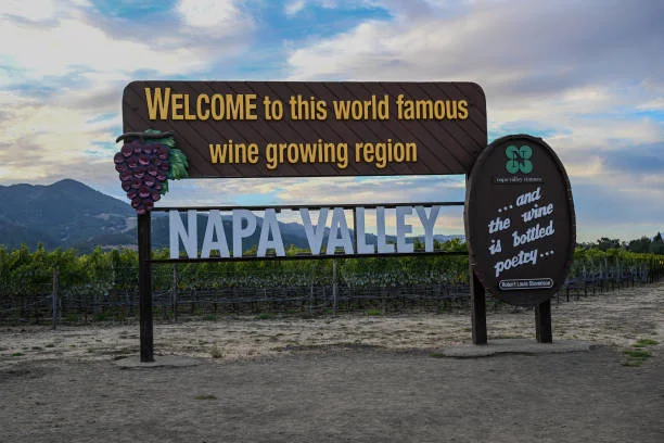 Napa Valley, California: Harvest Season Magic