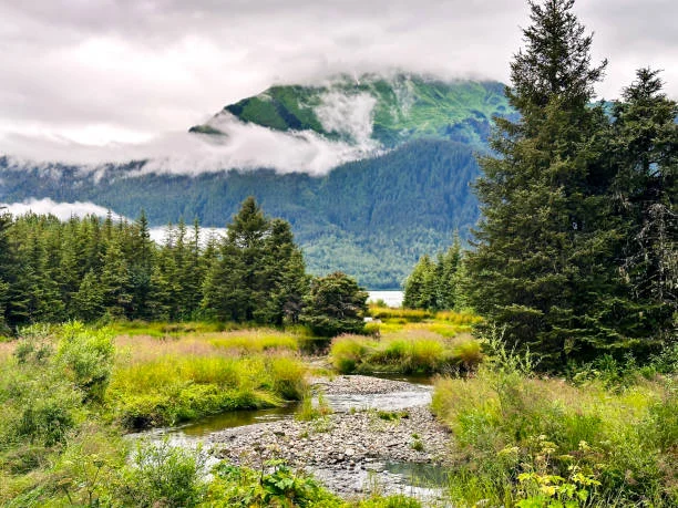 An awe-inspiring landscape in the Mendenhall region of Tongass National Forest