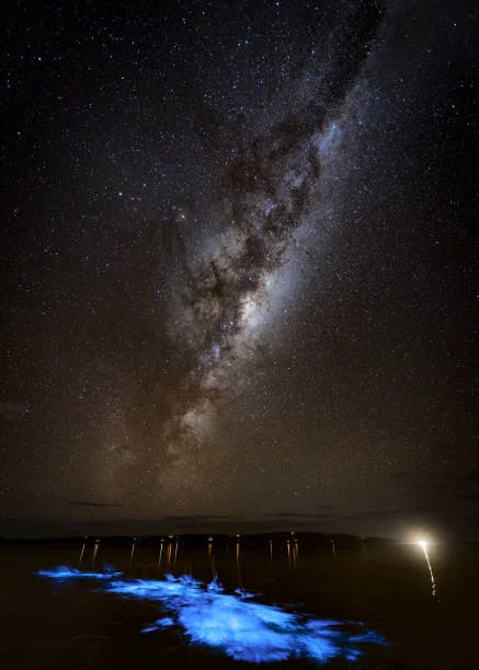 Bioluminescent Kayak Adventure, Puerto Rico: A Magical Nighttime Experience