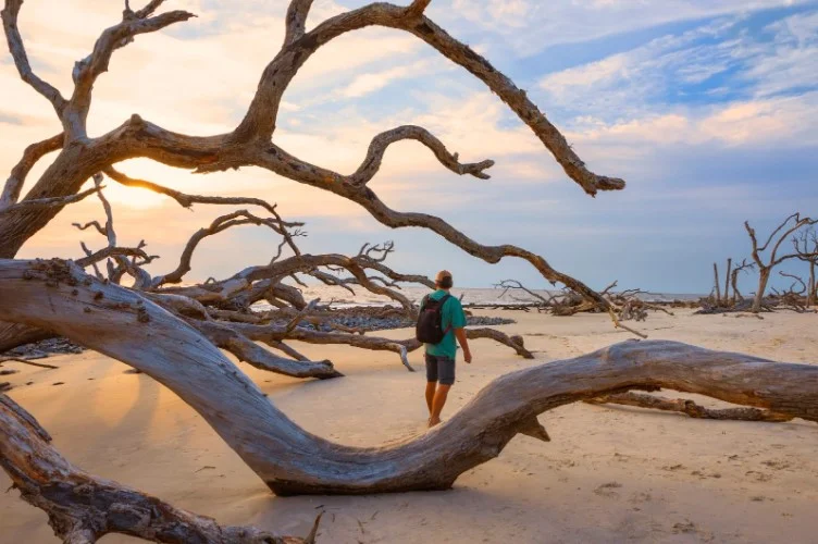 Golden Isles, Georgia: A Coastal Paradise