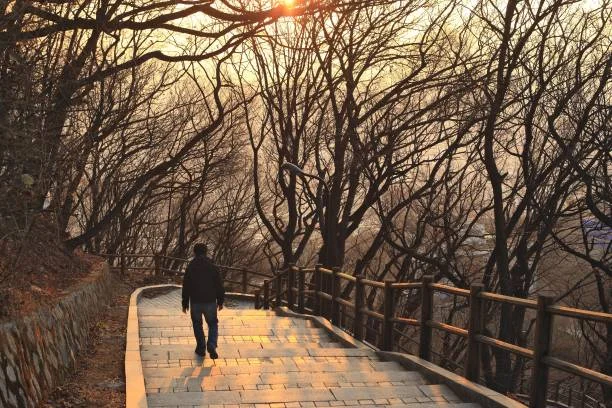 Namsan Park, Seoul, South Korea: A Kaleidoscope of Fall Colors