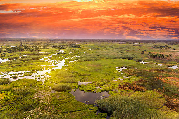 Botswana, Africa: Wildlife Wonders in the Dry Season