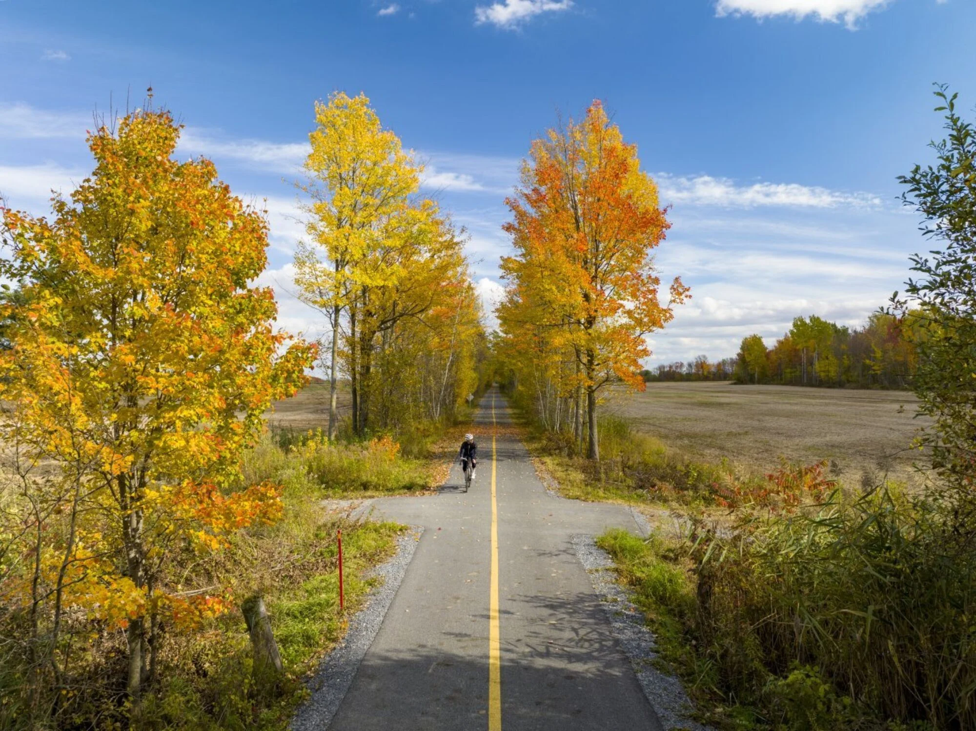 Véloroute Gourmande: A Foodie's Cycling Adventure Through Quebec