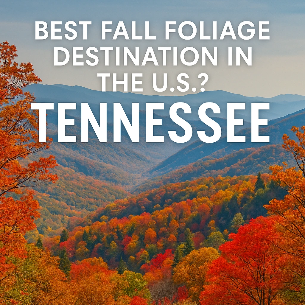 A vibrant autumn landscape of Tennessee’s Great Smoky Mountains showcasing colorful fall foliage with mountains, trees, and a scenic view, highlighting it as the best fall foliage destination in the U.S.