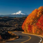 Pacific Northwest fall colors view along the McKenzie Pass scenic byway showing an asphalt road flanked by red vine maples, black lava fields, and a snowy peak of the Cascade Mountains in Oregon.